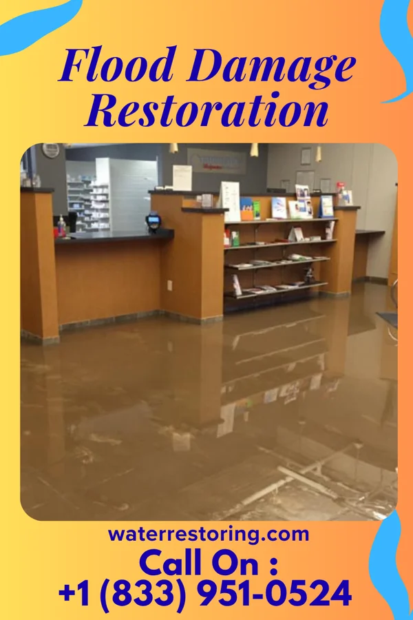 Flood Damage Restoration in Blacksburg, SC