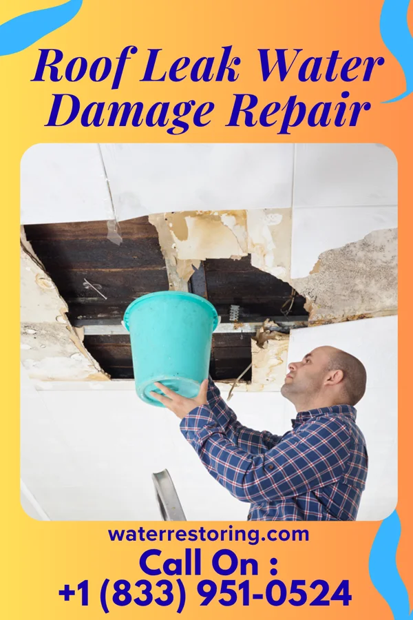 Roof Leak Water Damage Repair in Blacksburg, SC