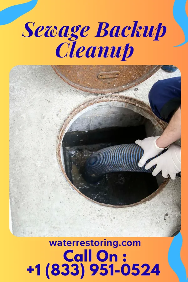 Sewage Backup Cleanup in Blacksburg, SC